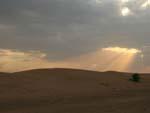 Dunes at dusk