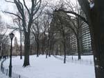 Snowy Central Park