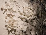 'fragile' - Dehua porcelain flowers, with exploded gunpowder calligraphy