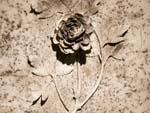 Single Dehua porcelain tile