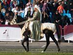Arabic Horse