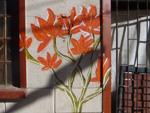 Orange flowers